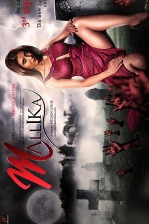 Mallika 2010 HDRip Hindi Full Movie 480p 720p 1080p