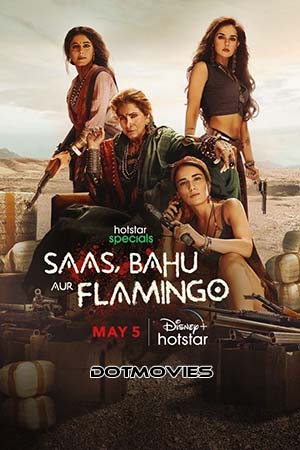 Saas Bahu Aur Flamingo Season 1 Hindi Disney- Hotstar Complete WEB Series 480p 720p 1080p WEB-DL
