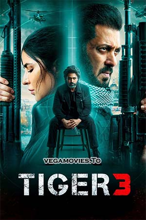 Tiger 3 2023 Hindi AMZN WEB-DL 480p 720p 1080p 2160p 4K UHD
