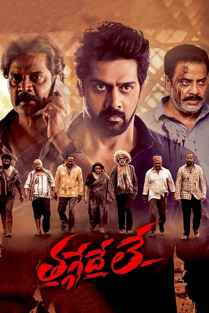 Thaggedhe Le 2022 Dual Audio Hindi ORG. - Telugu WEB-DL 480p 720p 1080p