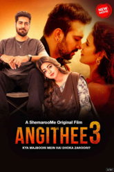 Angithee 3 2024 WEB-DL Hindi Full Movie 480p 720p 1080p