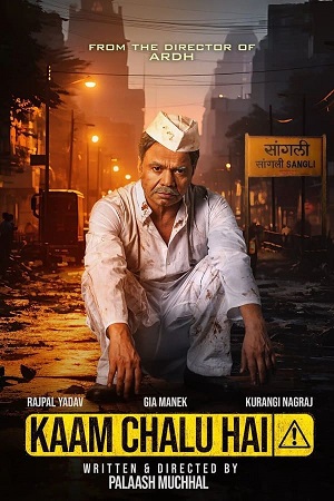 Kaam Chalu Hai 2024 Hindi ZEE5 WEB-DL 720p 1080p 2160p 4K