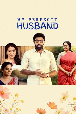 My Perfectt Husband 2024 Hindi Season 1 Complete Hotstar Special WEB Series 480p 720p 1080p WEB-DL