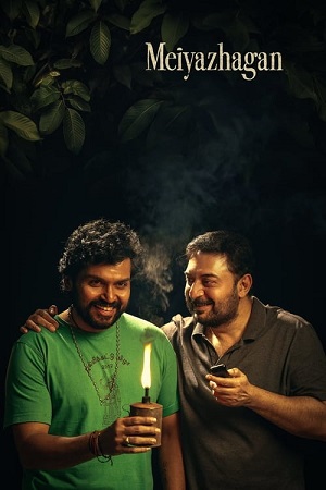 Meiyazhagan 2024 WEB-DL ORG. Dual Audio Hindi - Tamil NetFlix Full Movie 480p 720p 1080p