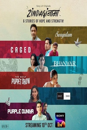 Zindaginama - Season 1 2024 Complete Hindi WEB Series 480p 720p 1080p WEB-DL