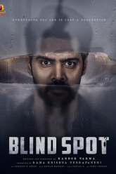 Blind Spot 2025 Hindi- Multi-Audio WeB-DL 480p 720p 1080p