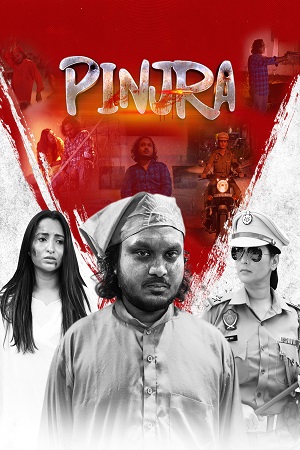 Pinjra 2025 WEB-DL Punjabi Full Movie 480p 720p 1080p