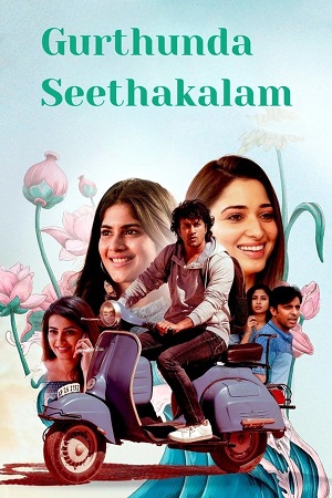 Gurthunda Seethakalam 2022 UNCUT Hindi - Telugu 480p 720p 1080p WeB-DL