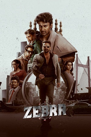 Zebra 2024 UNCUT Hindi - Telugu 480p 720p 1080p WeB-DL