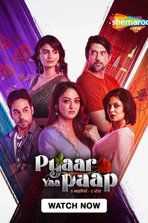 Pyaar Yaa Paap Season 1 Hindi Complete SM WEB-DL Series 480p 720p 1080p